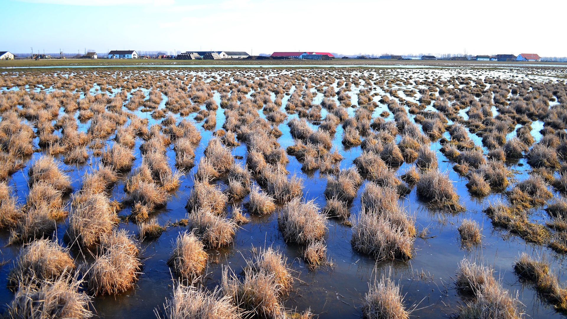 11. kép Vizes tavasz a pusztában.jpg